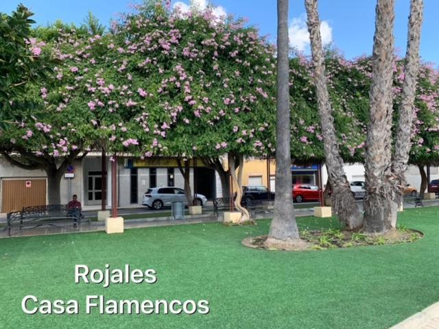Villa Casa Flamencos Rojales Exterior foto